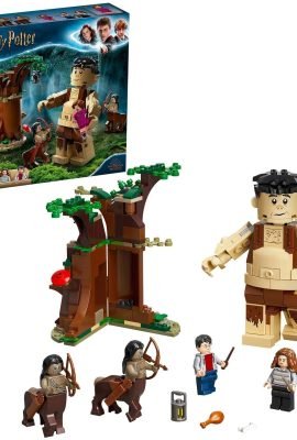 LEGO Harry Potter La foresta proibita: l’incontro con la Umbridge 75967 immagine del set montato con le minifigure di Harry, Hermione, Grop e Dolores Umbridge di fronte alla confezione