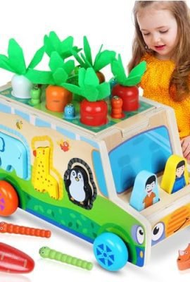 Giochi Bambini 1 Anno Giochi Educativi Montessori 1 2 3 4 Anni Bambino Bambina Giochi in Legno per 1 2 3 4 Bambini Femmina Maschio Giochi Bambini 2 3 4 Anni Giochi Montessori 1 Anno Regalo Compleanno