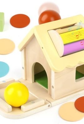 Joyreal Tamburo Rotante Montessori - 5 in 1 Giochi Legno Bambini 1 Anno, Gioco Montessori Bambino, Giochi Bimba 1 2 Anni, Giocattoli Selezionatore di Forme Natale Regalo per Bambina