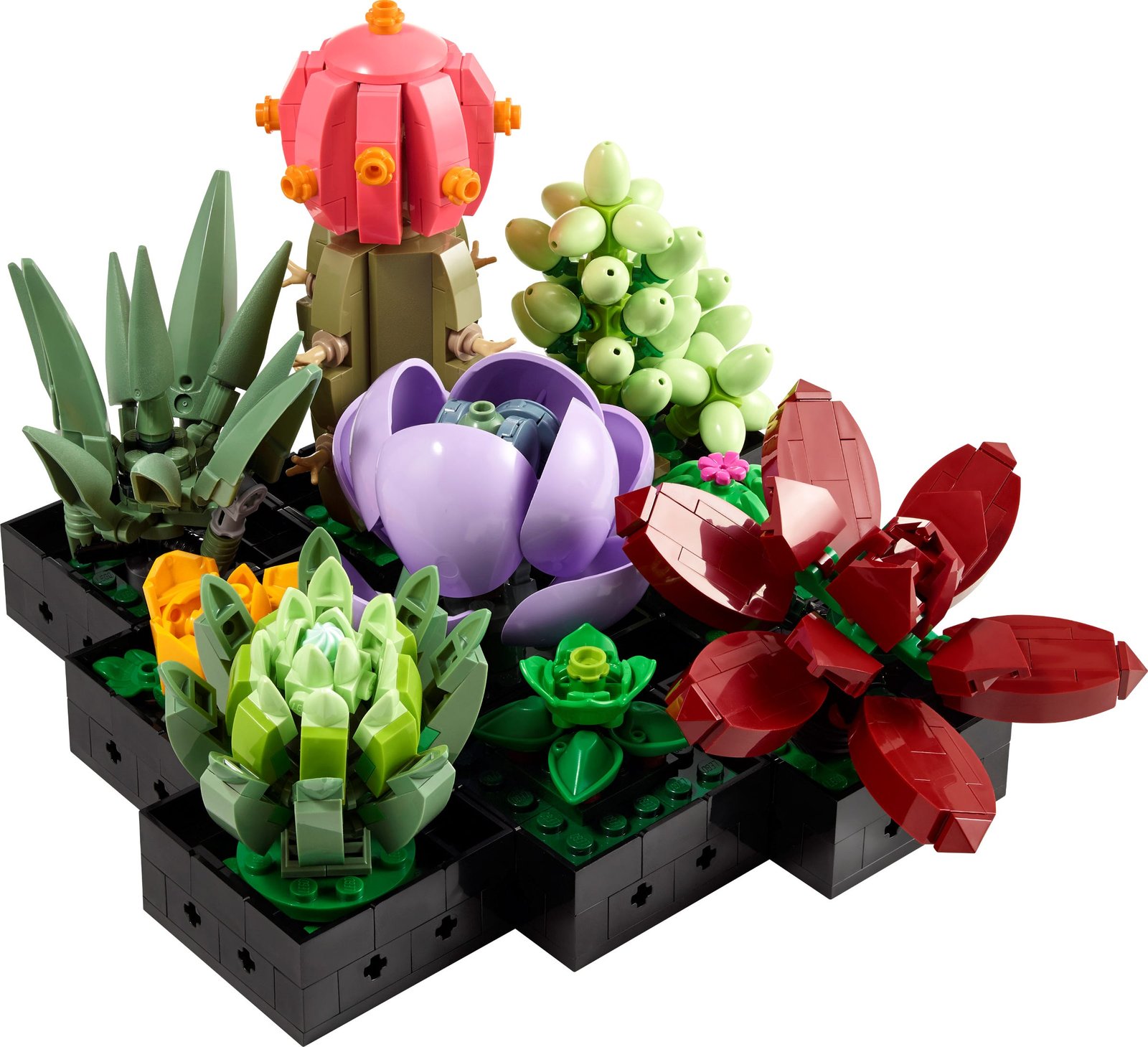 LEGO LEGO® Icons 10309 - Piante grasse
