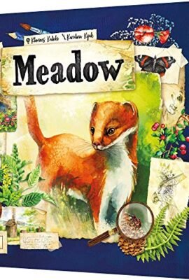 Asmodee - Meadow - Gioco da Tavolo, 1-4 Giocatori, 10+ Anni, Edizione in Italiano