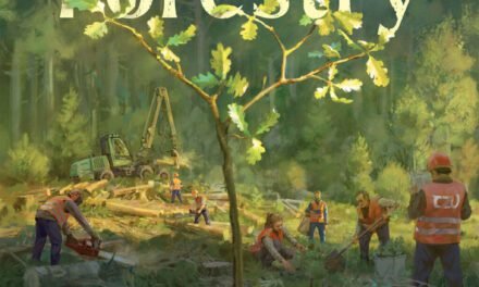 Recensione di giochi da tavolo: Forestry