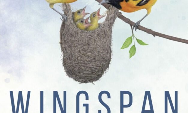 recensione di wingspan pocket