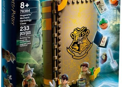 , LEGO Harry Potter “Hogwarts Moments” &ndash; the new magic books to build.
