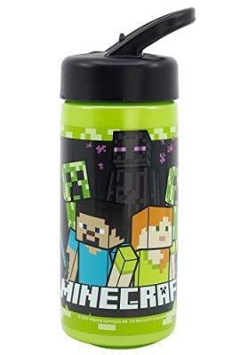 Large 410 ml Minecraft Playground Bottle