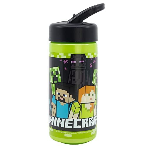Stor BOTTIGLIA PLAYGROUND DA 410 ML MINECRAFT