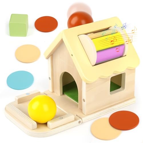 Joyreal Tamburo Rotante Montessori - 5 in 1 Giochi Legno Bambini 1 Anno, Gioco Montessori Bambino, Giochi Bimba 1 2 Anni, Giocattoli Selezionatore di Forme Natale Regalo per Bambina