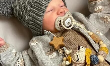 The 6 Best Reborn Dolls of 2025: Realism, Emotion, and Quality