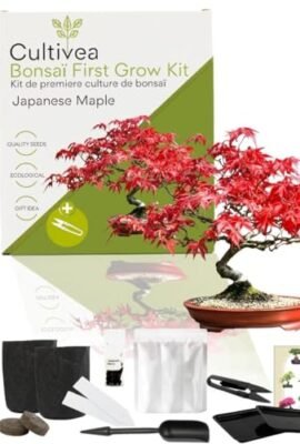 CULTIVEA First Bonsai Kit – Complete Set with Seeds, Accessories & Guide – Grow Your Own Bonsai | Original Gift Idea (Japanese Maple Bonsai)