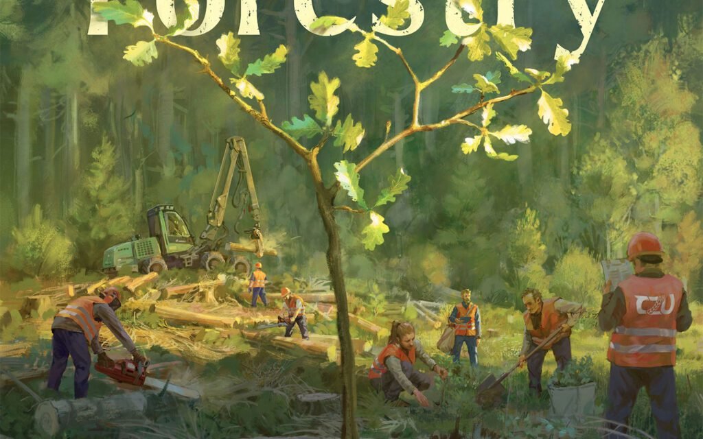 A Review of Forestry Board Games